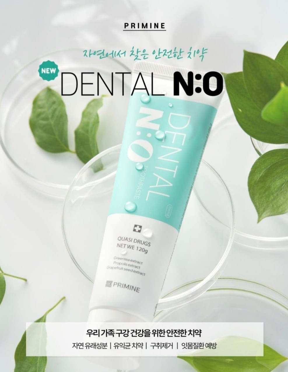 DENTAL N:O (치약 4개)